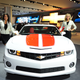 Illustration for article titled The Booth Professionals Of The Detroit Auto Show